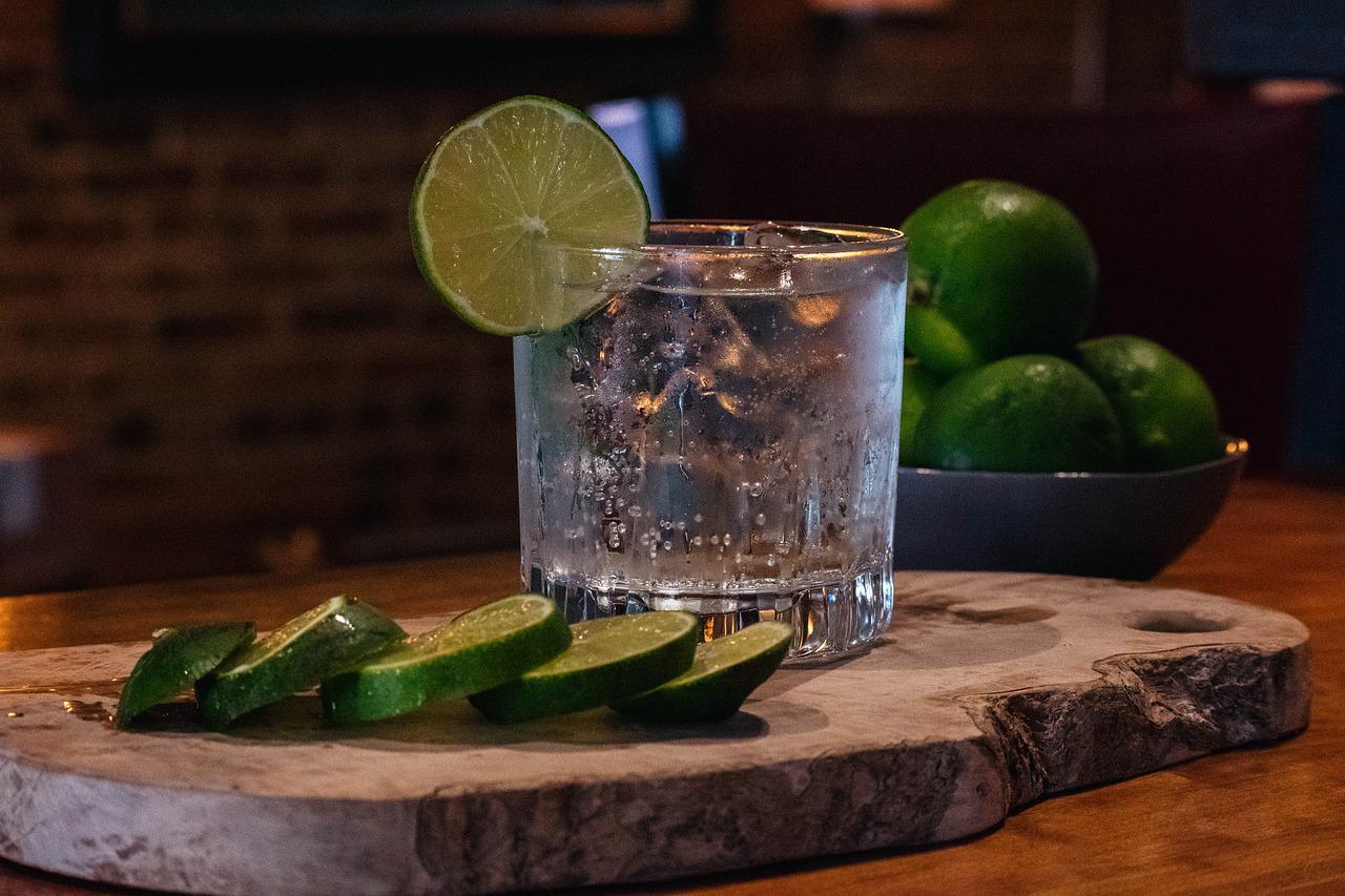 Dansk økologisk gin